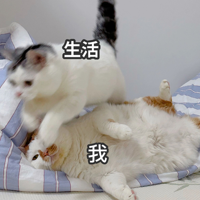 周三周三一座大山,熬过周三,跨过难关!