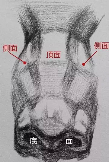 不同角度鼻子的画法,看这一篇就够了!|3d|鼻子|形状_新浪新闻