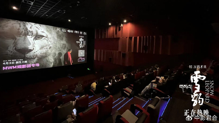 万玛才旦高口碑电影《雪豹》路演 影片价值表达获观众盛赞|雪豹|万玛