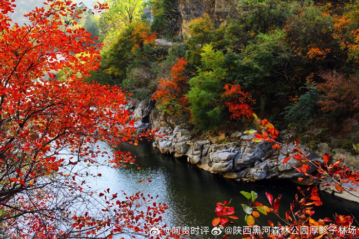 初冬虽将深秋拥入怀中但此时此刻西安黑河国家森林公园
