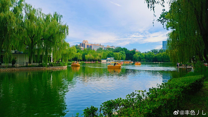 北京青年湖公园的夏 摄影__财经头条
