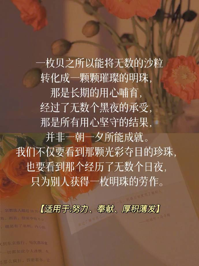 奈何boss要娶我2