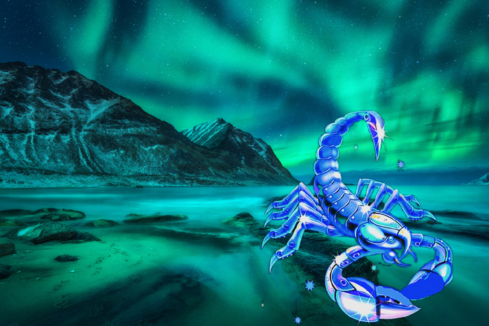 天蝎座,3月下旬,小心别吃亏|天蝎座|天蝎|恋人_新浪新闻