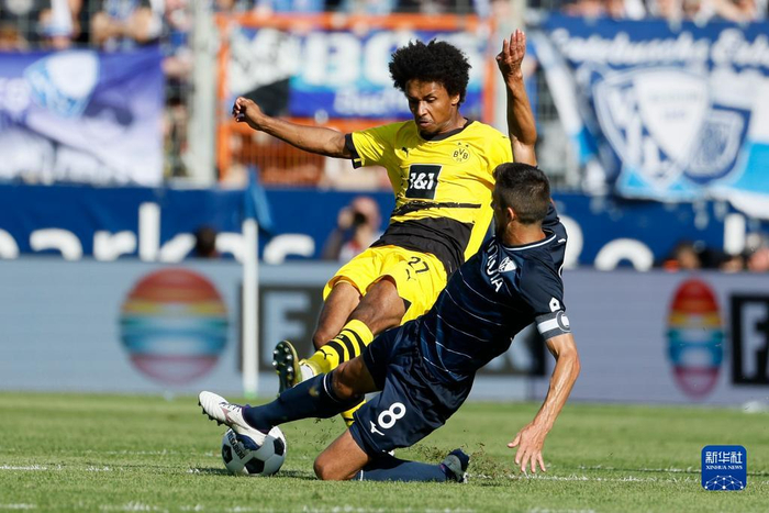 德甲:波鸿平多特蒙德|比赛|多特蒙德|波鸿队_新浪新闻