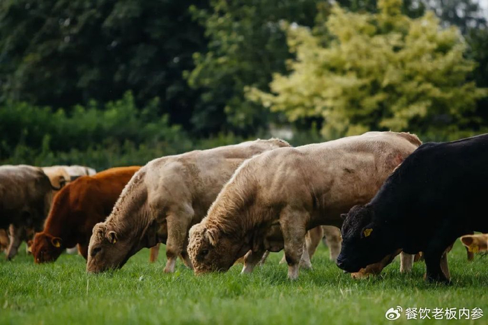 揭秘米其林主厨独家烹饪技艺,爱尔兰牛肉大师课北京正式开讲!