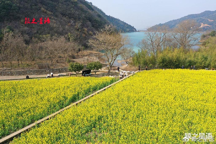 金珠山下油菜花田,在水一方,并线游览更添彩|花田