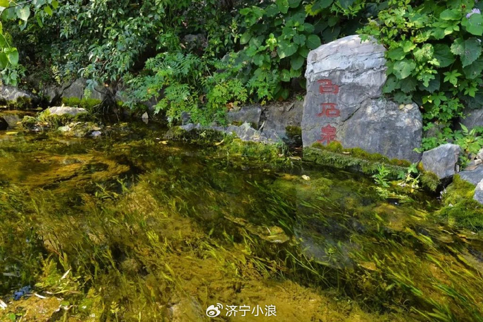 母亲节,让我带您去看那山那水,那些回忆