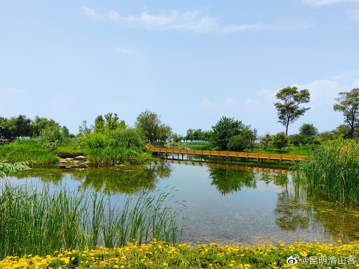 斗南湿地公园图片