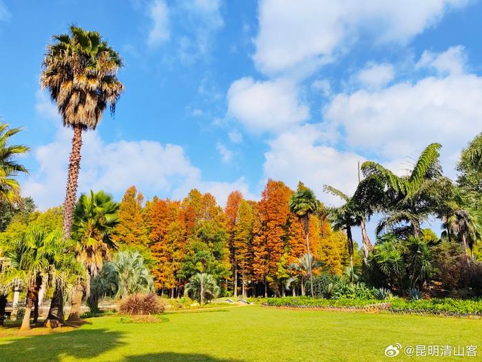 昆明植物园东园图片