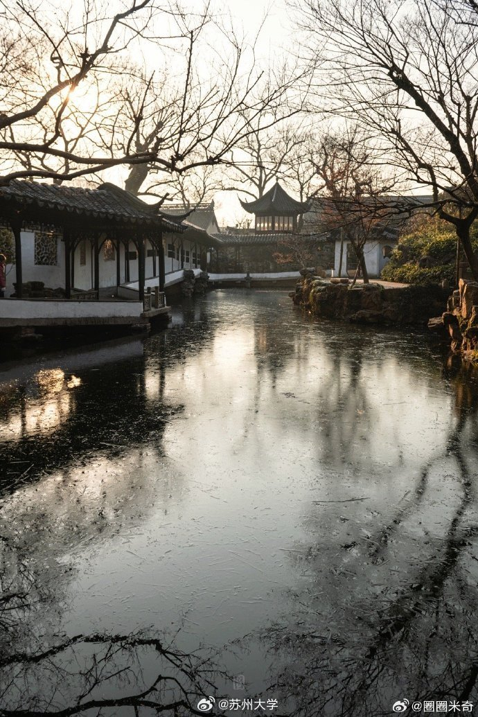 冰封拙政园难能一见的苏州美景