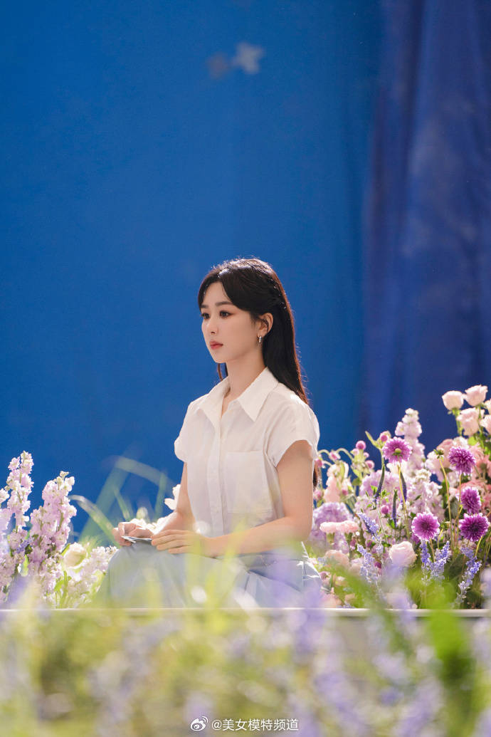 杨紫一身白衣置身花海黑发散落肩头气质温婉邻家