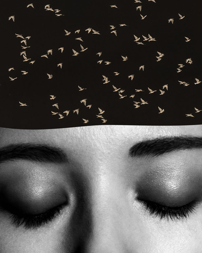 飞鸟集paul cupido 67飞鸟集paul cupido 67飞鸟集