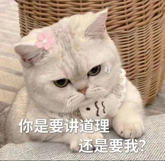搞笑可爱表情包