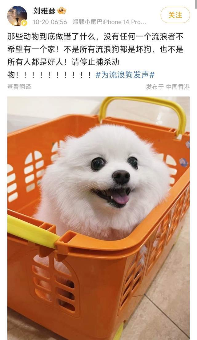 杨迪、刘雅瑟被禁言,涉嫌违反法律法规,疑似因造谣捕杀流浪狗|杨迪|流浪狗|刘雅瑟|明星|小动物|造谣|法律|女童|法规|娱乐圈_新浪娱乐_新浪新闻