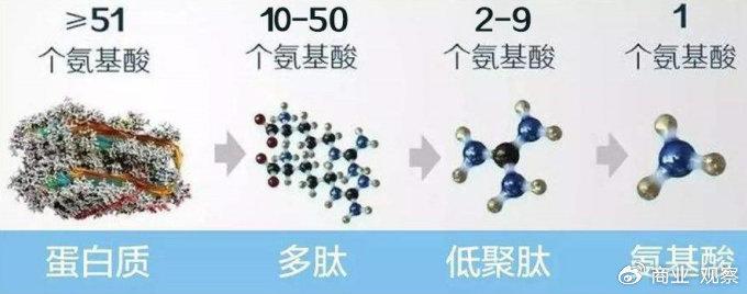 从实验室到市场的深度演变，五个女博士品牌快速崛起