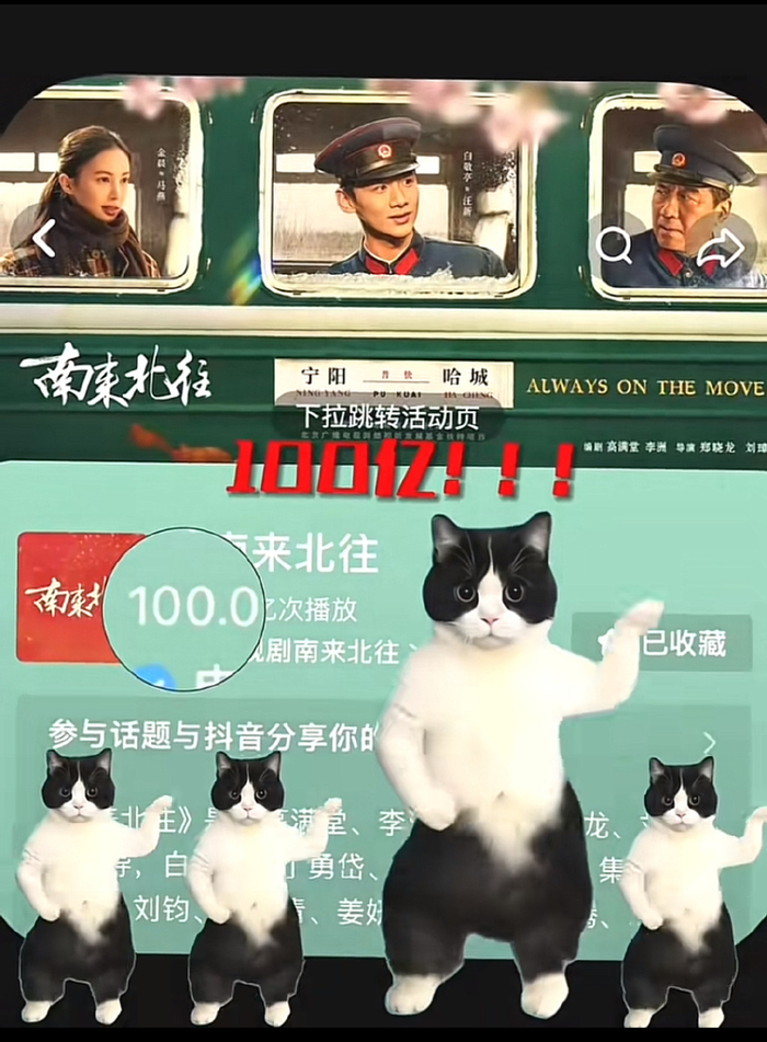 在抖音狂揽120亿话题量的南来北往做对了什么