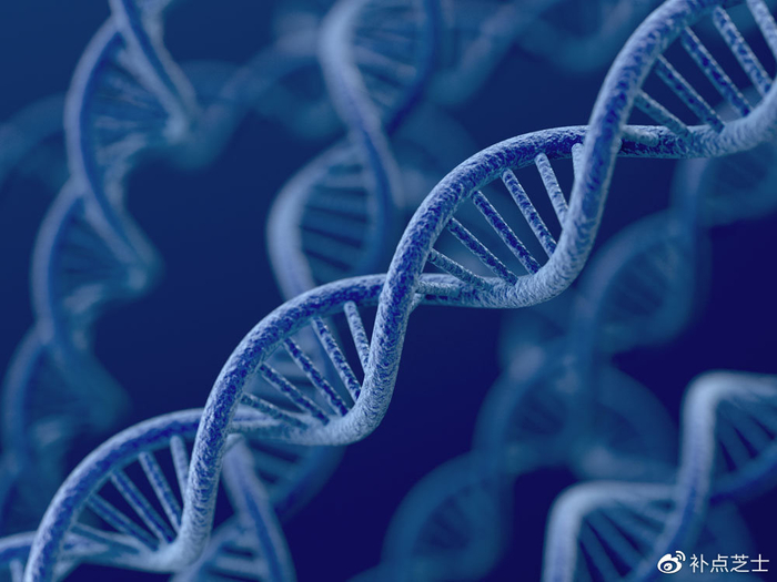 DNA有哪几种二级结构?DNA双螺旋结构是谁发现的?|碱基|生物学与医学|氢键|碱基对|序列_新浪新闻