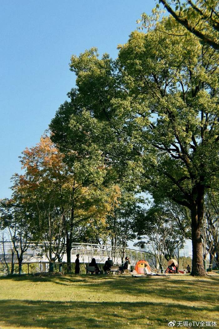 无锡这些免费公园,火了!__财经头条