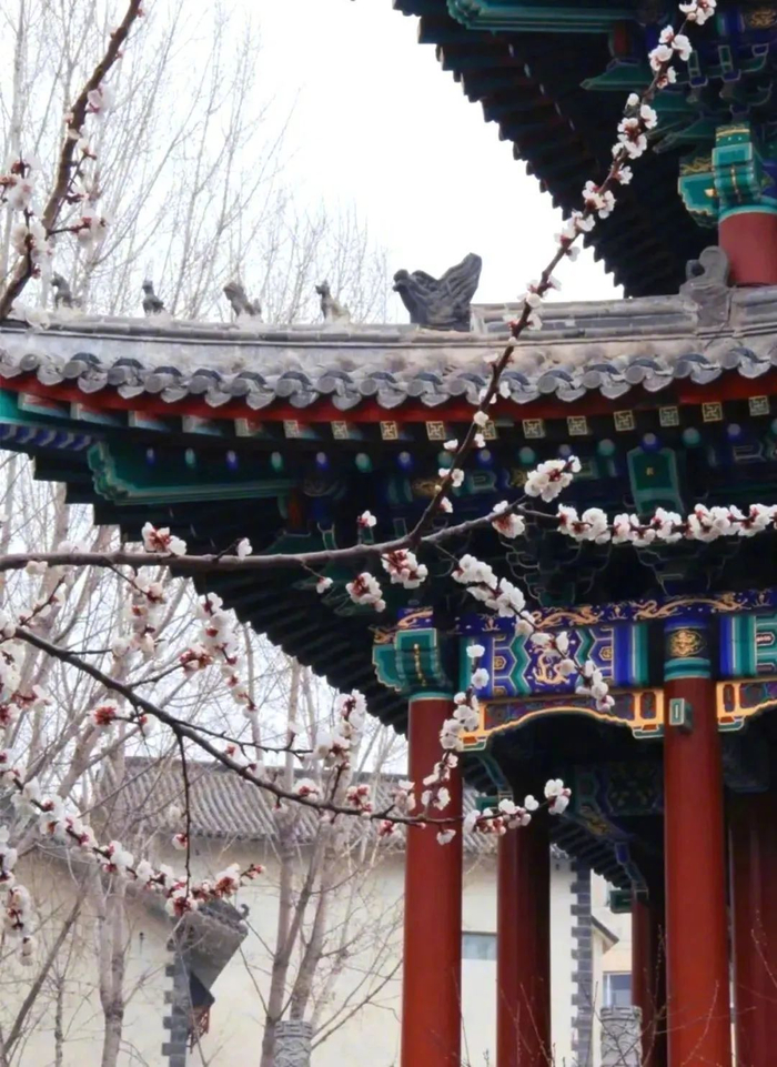 叮~这是一封来自石家庄"魔法城堡"的邀请函!