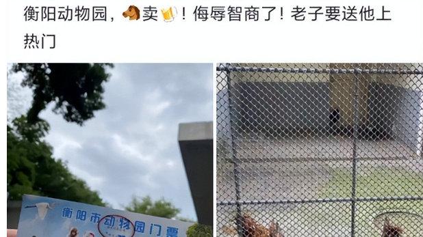 轻松一刻：军师教你的话，就是当年军师没说出口的话~