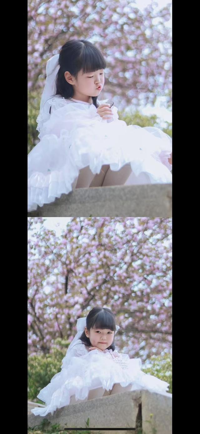 把春天写在诗里，樱花树下的浪漫