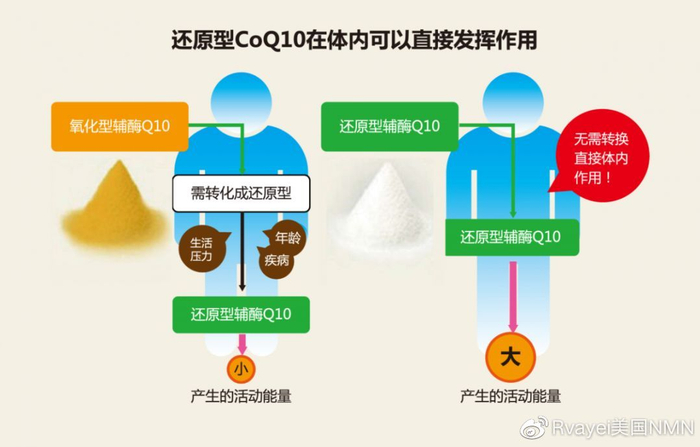 辅酶健康功效解析 常见保健品成分作用揭秘