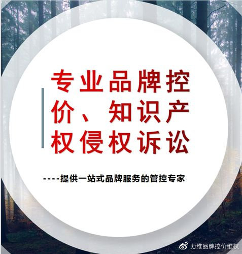 知识产权维权