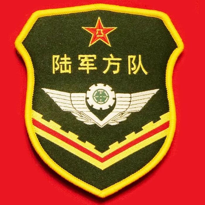 軍迷收藏哨位君翻庫存全副國慶70週年閱兵式臂章第①彈