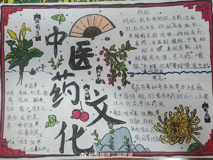 中医药文化进校园 传承国粹助成长|中医药|校园|中医药文化_新浪新闻