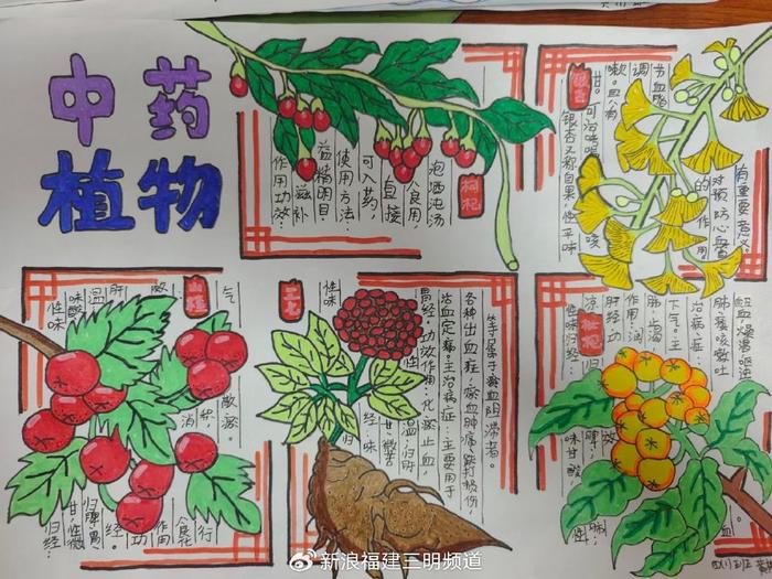 中医药文化进校园 传承国粹助成长|中医药|校园|中医药文化_新浪新闻