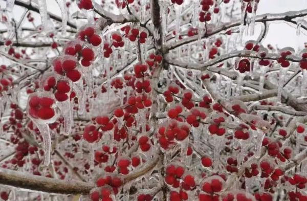 电极保湿垫怎么用暖宝宝电热毯取暖 要警惕低温烫伤_新闻资讯_第1张_活检穿刺产品网 电极保湿垫怎么用暖宝宝电热毯取暖 要警惕低温烫伤_https://www.jmylbn.com_新闻资讯_第1张