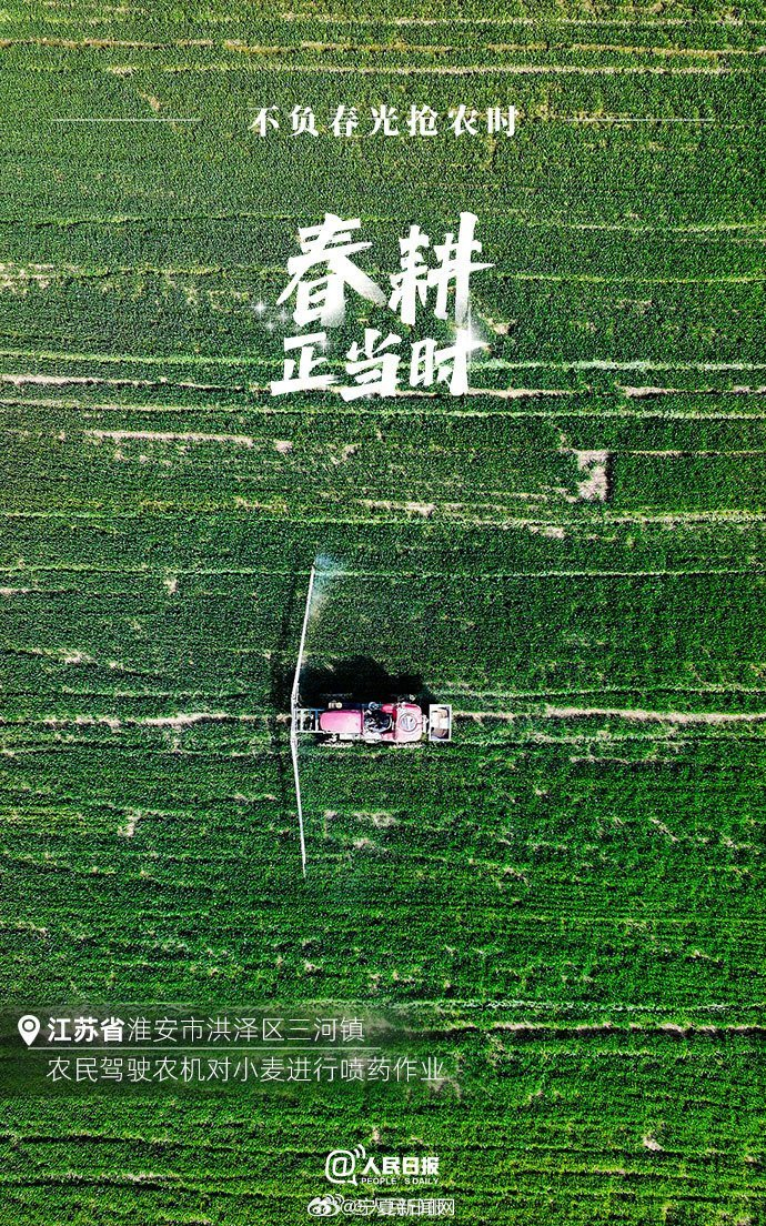 不负春光!2024中国春耕图__财经头条