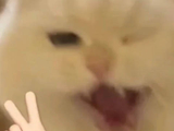 卡布叻_周深：啊hiahiahiahiahiahia！