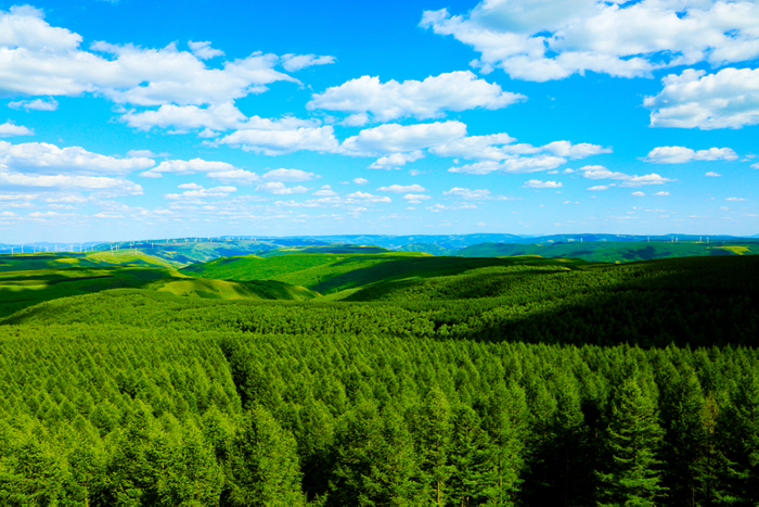 位于河北承德的塞罕坝森林公园被称为"水的源头,云的故乡,花的世界