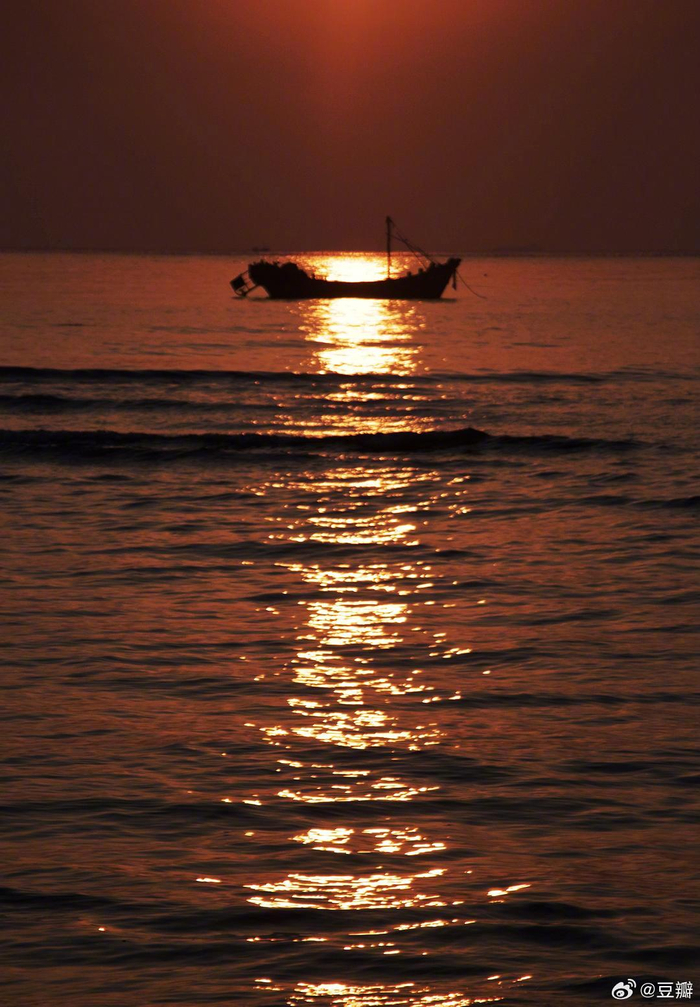 日出爱好者__财经头条