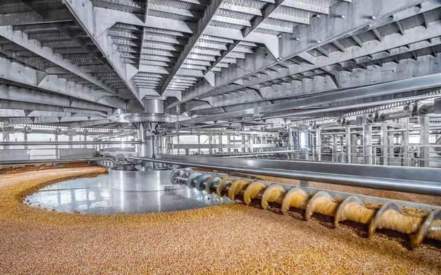 洋河股份率先扛起"智改数转"大旗,掀起传统企业智改数转新浪潮|洋河