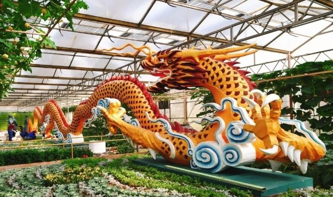 第二十五届菜博会热点关注问题解答|农产品|菜博会|寿光_新浪新闻