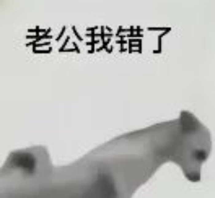 小狗喊到表情包!|_新浪新闻