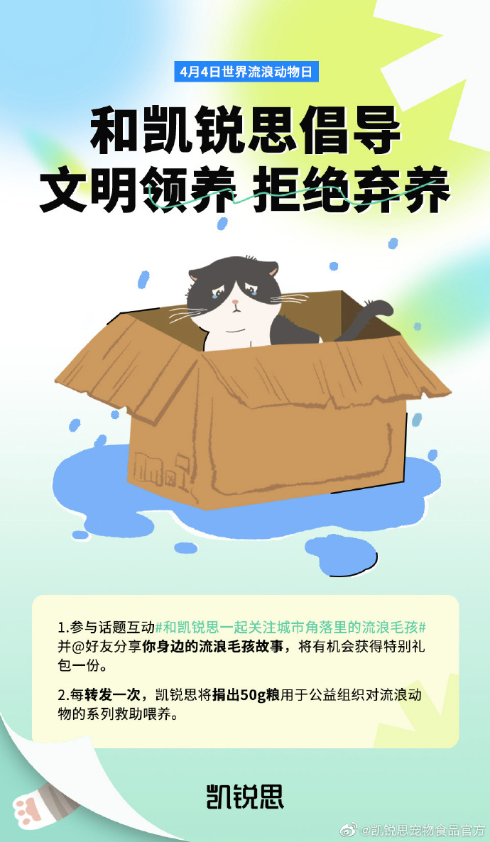 专访凯锐思创始人：让养宠的快乐多一点，负担少一点
