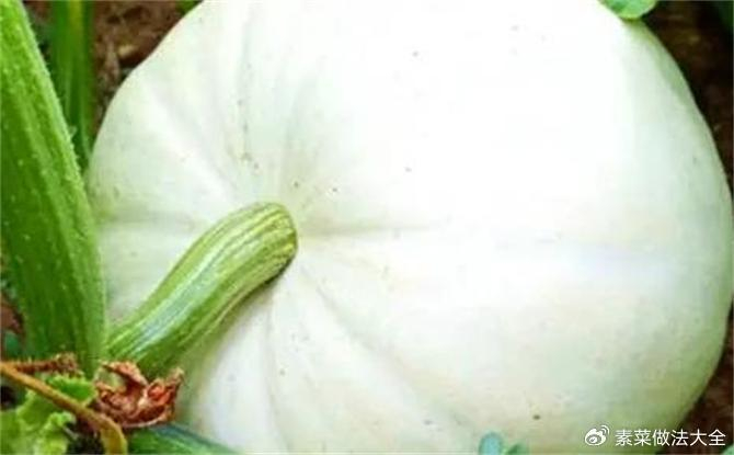 北瓜是什么瓜？除了冬瓜西瓜南瓜，这世上还真有北瓜|植物|品种|故事|形状|三角形_新浪新闻