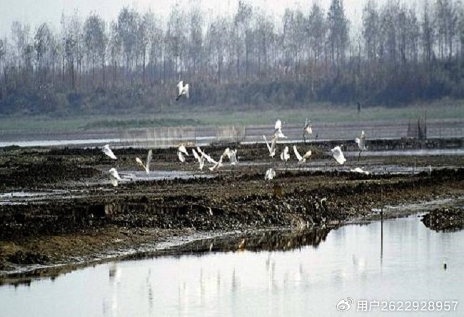 三国谋定天下军演玩法 军演关卡挑战攻略