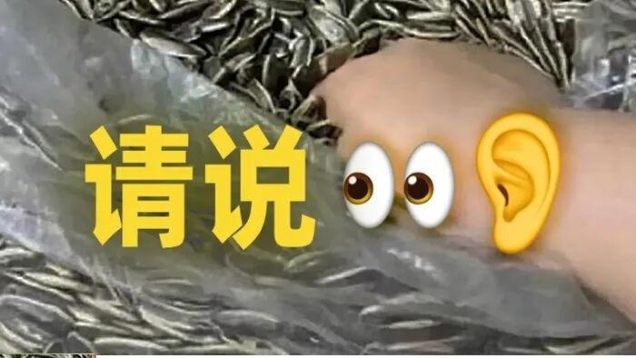 听别人讲“废话”，月入3万
