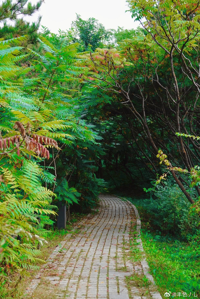 北京奥森美景摄影