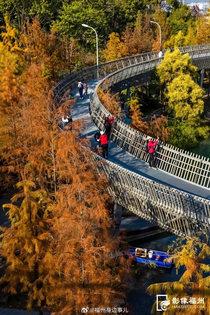 来欣赏@媛文shijue 镜头下的福道水杉 via影像福州 67近日,梅峰山地