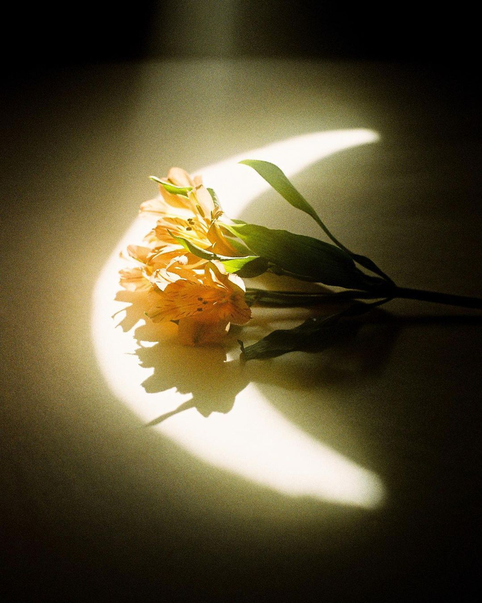 生命,要有光 摄影丨jayden