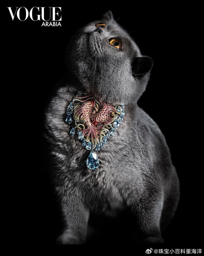 vogue 阿拉伯版最新的猫猫珠宝海报,不止壕气冲天