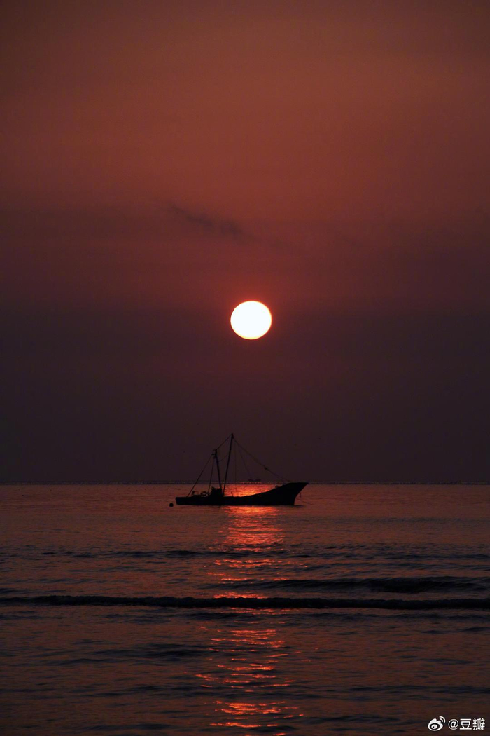 日出爱好者__财经头条