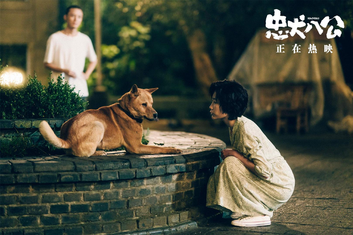 电影《忠犬八公》今日感动献映 五大看点揭秘“重磅情感炸弹”