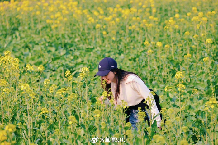 万物复苏的季节每年二三月伊始至七八月全国各地桃红李艳