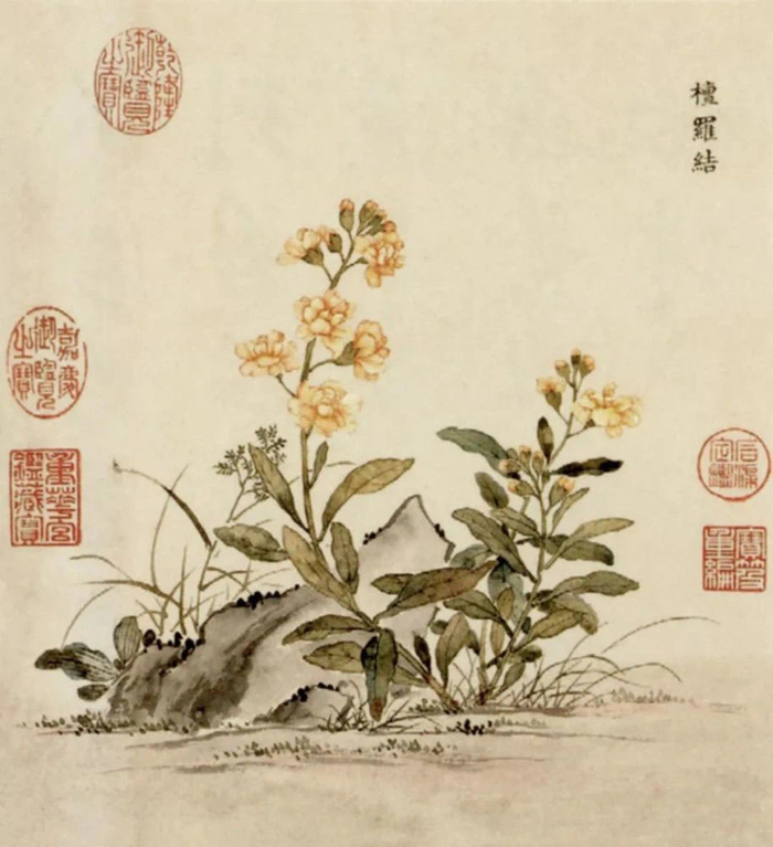 清·余省 海西集卉册 欣赏《海西集卉》册是余省在乾隆二十二年(1757|海西集卉|乾隆|周鲲